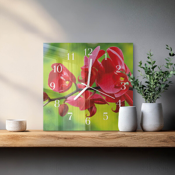 Szögletes fali üvegóra Orchidea