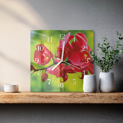 Szögletes fali üvegóra Orchidea