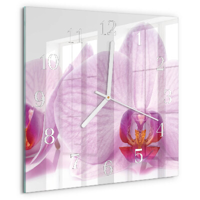 Szögletes fali üvegóra Orchidea