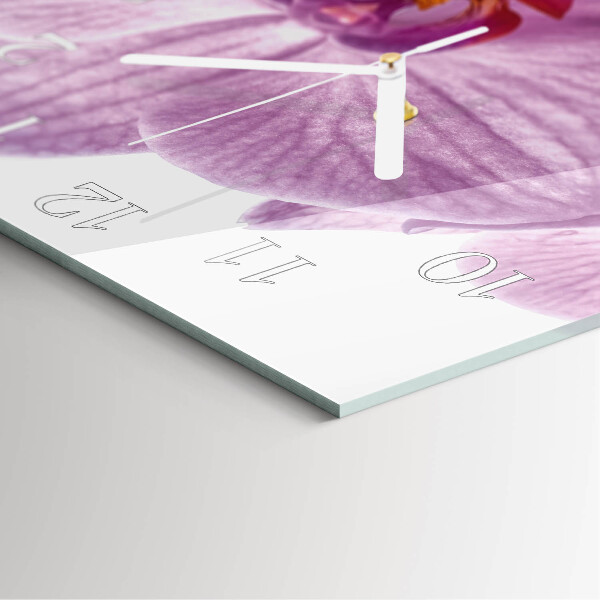 Szögletes fali üvegóra Orchidea