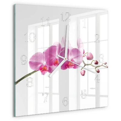 Szögletes fali üvegóra Orchidea