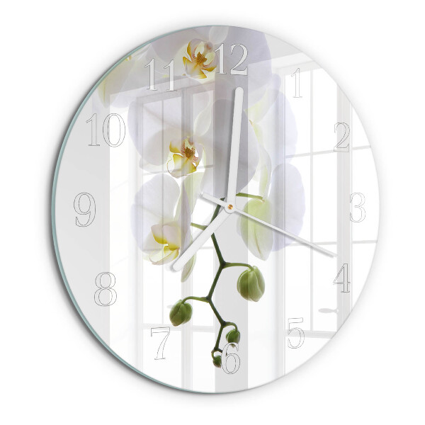 Kerek fali üvegóra Orchidea