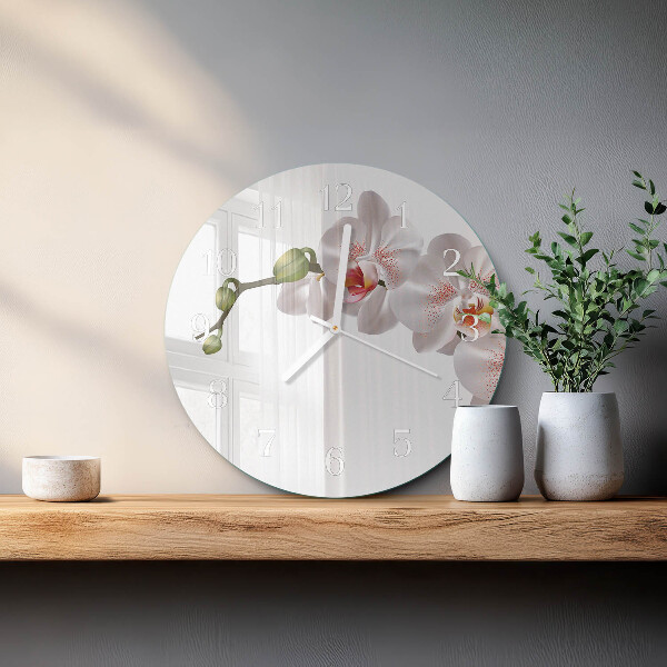 Kerek fali üvegóra Orchidea