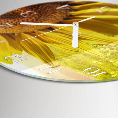 Kerek fali üvegóra Napraforgó