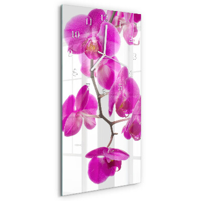 Téglalap alakú üvegóra Orchideák
