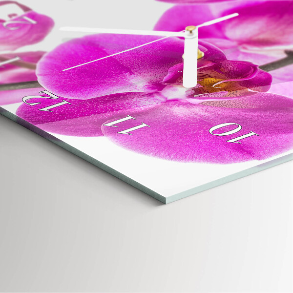 Téglalap alakú üvegóra Orchideák