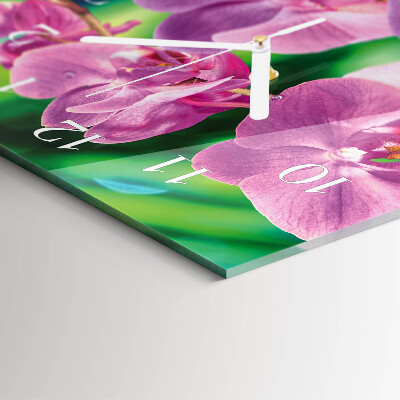 Téglalap alakú üvegóra Orchideák