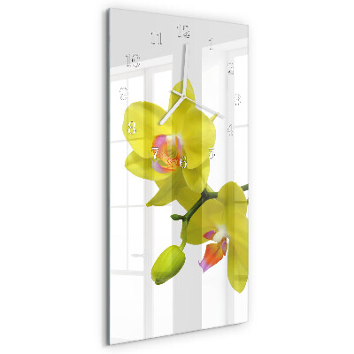 Téglalap alakú üvegóra Orchidea