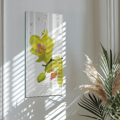 Téglalap alakú üvegóra Orchidea
