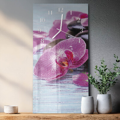 Téglalap alakú üvegóra Ötlet orchideáknak