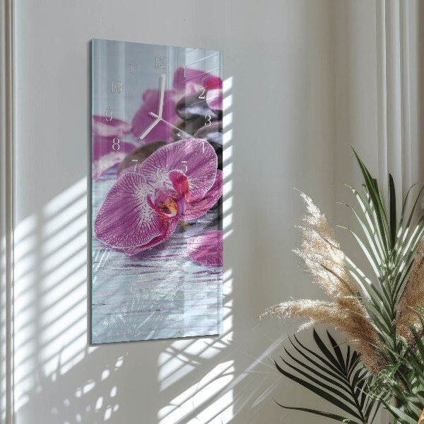 Téglalap alakú üvegóra Ötlet orchideáknak