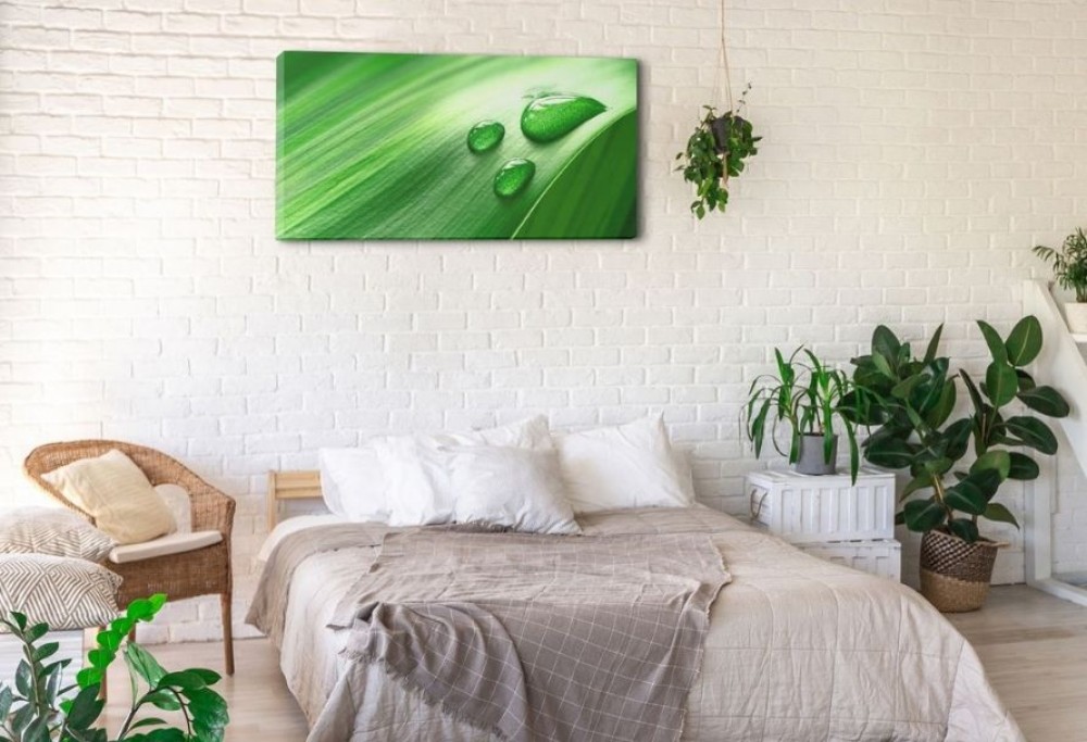 bérelt lakás dekoráció